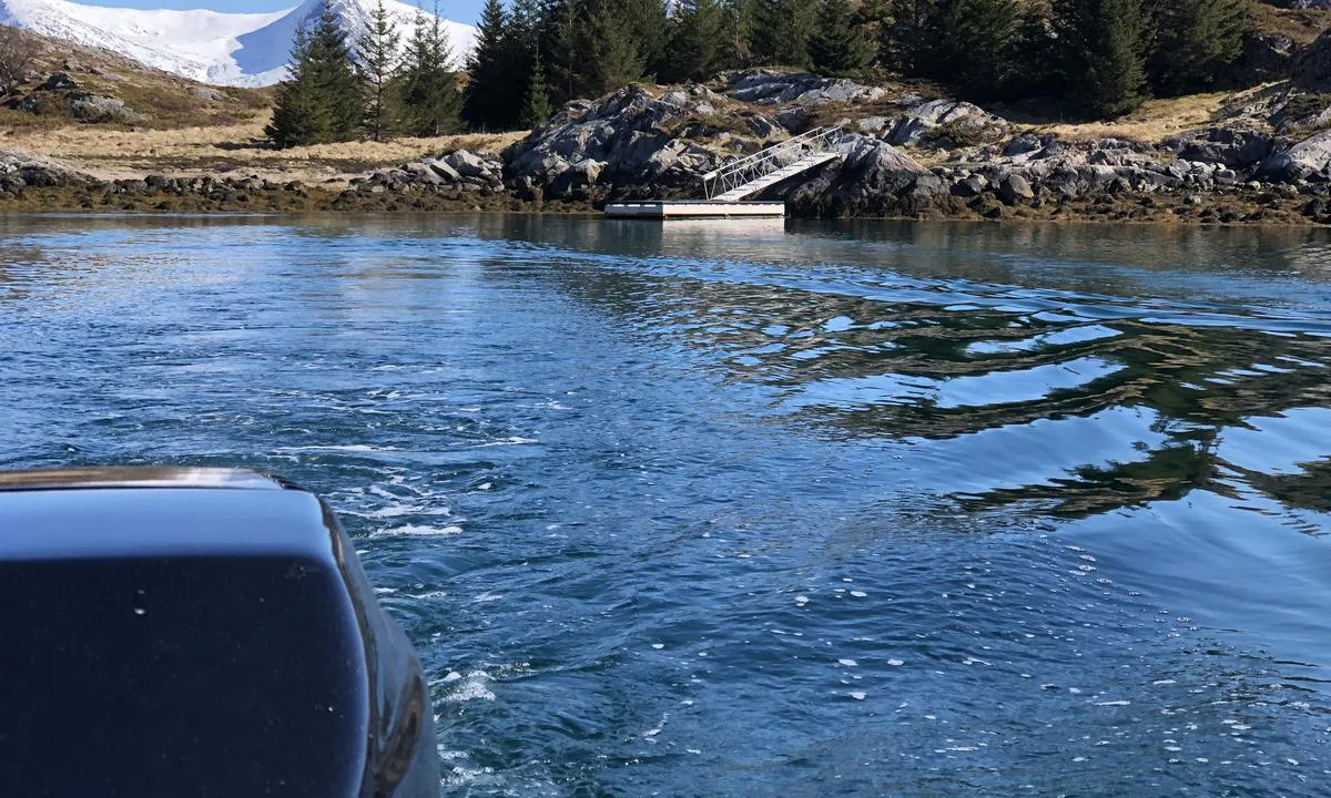 Hjartøya ligger idyllisk til på Helgelandskysten like ved Sandnessjøen. Her har du tilgang til et trygt og fint flytekai, samt kjempegode muligheter for grilling i fjæra. I Hjartøyvågen er det også gode muligheter for ankring av større fartøy som ikke får plass ved flytekaiet.
I sommersesongen kan man hilse på sauene som farter rundt på øya, og samtidig oppleve vakker utsikt mot Sandnessjøen og de Syv Søstre.

På bildet ser man flytekaiet ved Hjartøya og den fine naturen rundt. Til venstre ser man et glimt av de Syv Søstre.
Bildet er tatt 21. mai 2020.