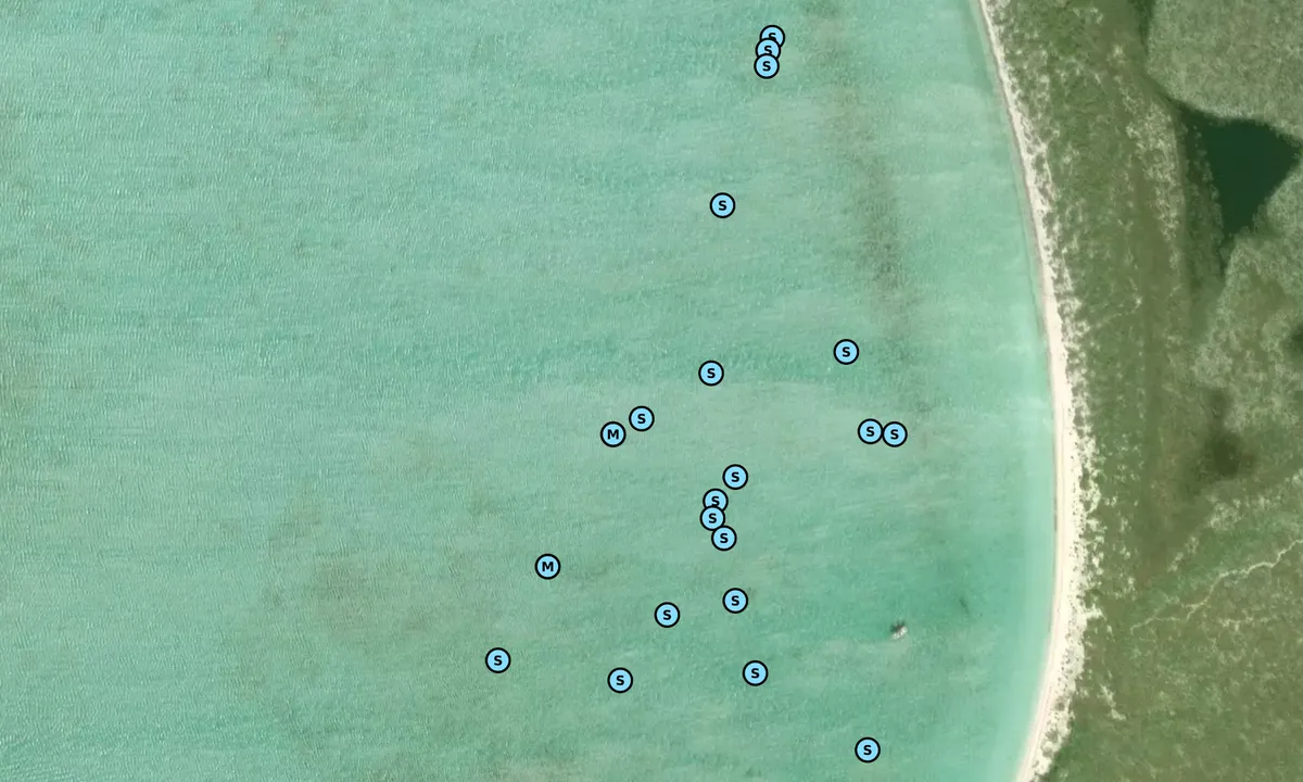 Satelite image of Hog Cay 1