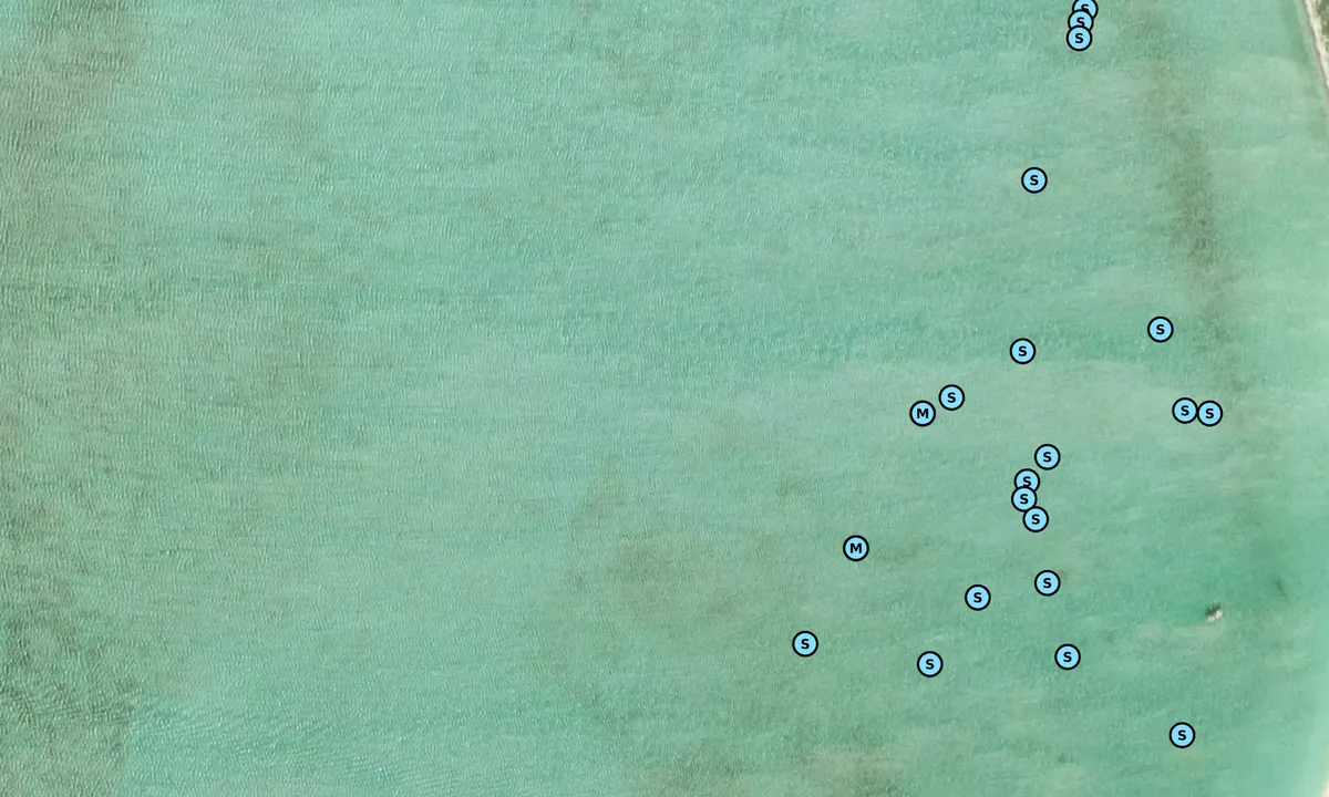 Satelite image of Hog Cay