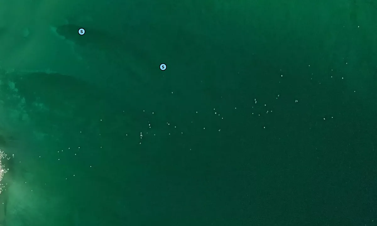 Satelite image of Hog Island - East