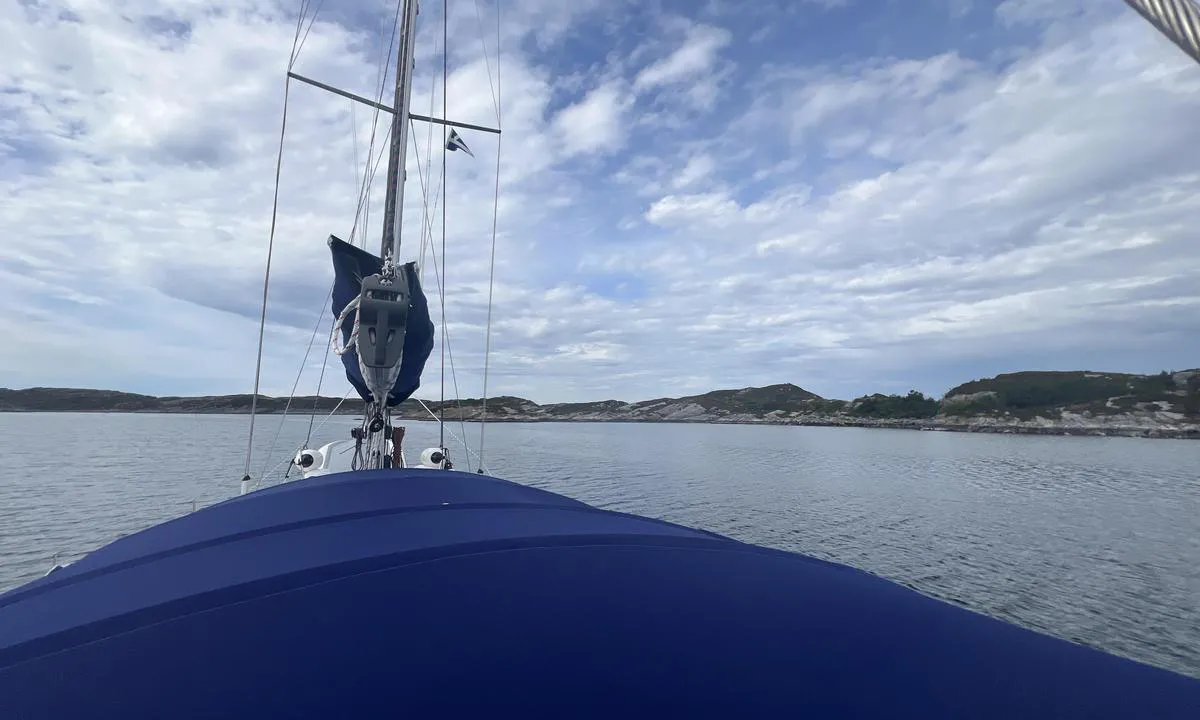 Høgøyna