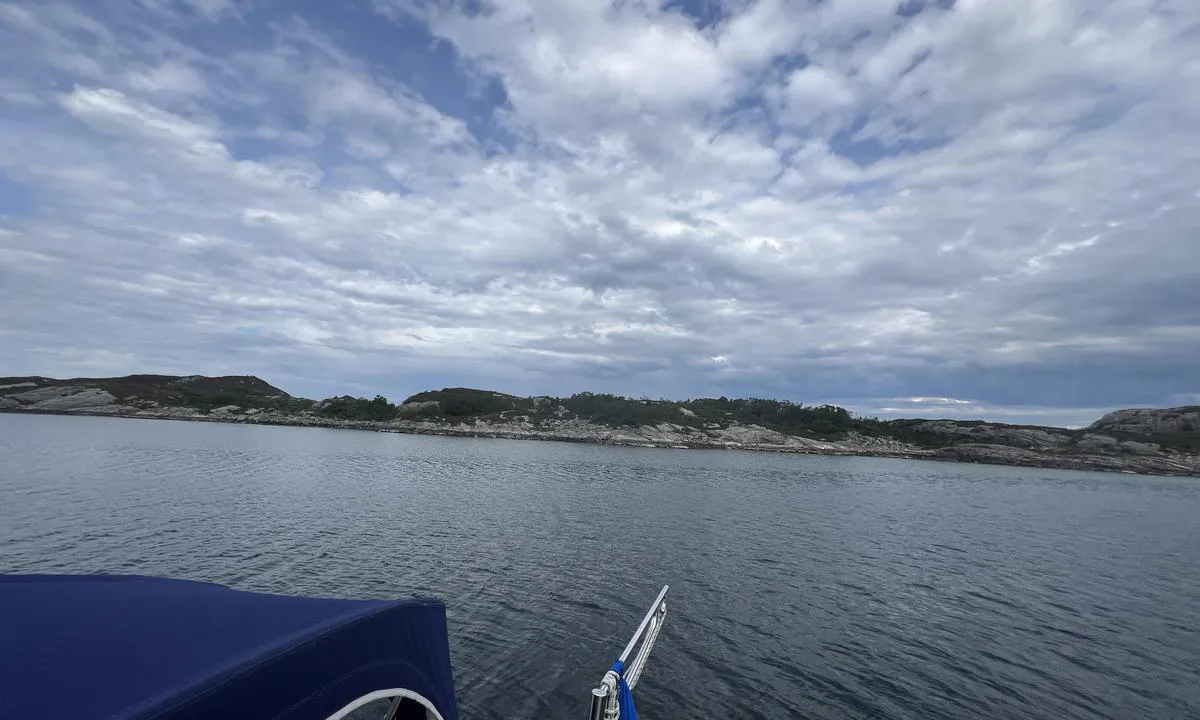 Høgøyna