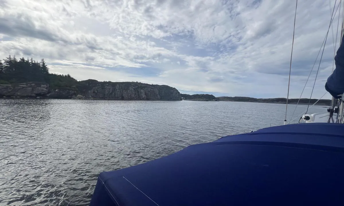 Høgøyna