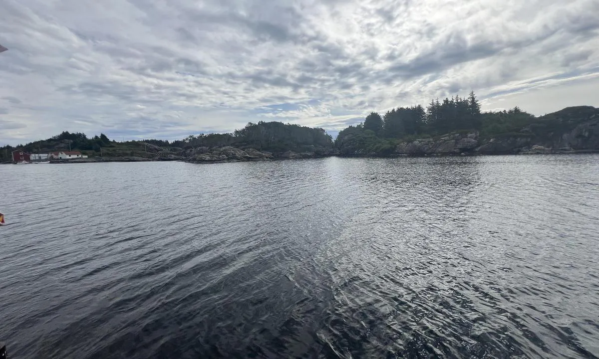 Høgøyna