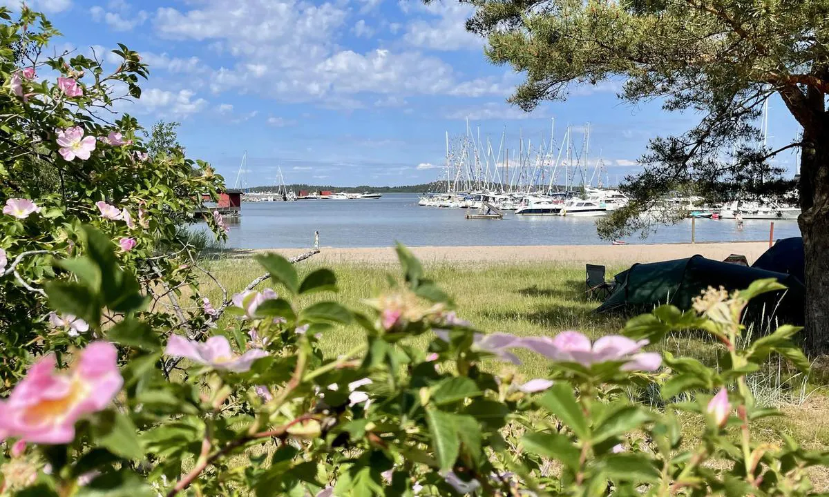 Högsåra: {"base": "en", "no": "Badeplass og brygga bak den.", "se": "Badstrand och bryggan bakom den.", "en": "Swimming beach and the jetty behind it.", "da": "Sv\u00f8mmestrand og molen bagved.", "fr": "Plage de baignade et le ponton derri\u00e8re.", "de": "Badestrand und der Steg dahinter.", "es": "Playa de ba\u00f1o y el embarcadero detr\u00e1s de ella.", "it": "Spiaggia per nuotare e il molo dietro di essa.", "pt": "Praia para nata\u00e7\u00e3o e o cais atr\u00e1s dela.", "nl": "Zwemplek en de steiger erachter.", "pl": "Pla\u017ca k\u0105pielowa i pomost za ni\u0105.", "uk": "\u041f\u043b\u044f\u0436 \u0434\u043b\u044f \u043a\u0443\u043f\u0430\u043d\u043d\u044f \u0456 \u043f\u0456\u0440\u0441 \u043f\u043e\u0437\u0430\u0434\u0443 \u043d\u044c\u043e\u0433\u043e.", "ro": "Plaj\u0103 pentru \u00eenot \u0219i digul din spatele ei.", "tr": "Y\u00fczme plaj\u0131 ve arkas\u0131ndaki iskele.", "el": "\u03a0\u03b1\u03c1\u03b1\u03bb\u03af\u03b1 \u03b3\u03b9\u03b1 \u03ba\u03bf\u03bb\u03cd\u03bc\u03c0\u03b9 \u03ba\u03b1\u03b9 \u03b7 \u03b1\u03c0\u03bf\u03b2\u03ac\u03b8\u03c1\u03b1 \u03c0\u03af\u03c3\u03c9 \u03b1\u03c0\u03cc \u03b1\u03c5\u03c4\u03ae\u03bd.", "cs": "Pl\u00e1\u017e ke koup\u00e1n\u00ed a molo za n\u00ed.", "hu": "Strand \u00e9s a m\u00f6g\u00f6tte l\u00e9v\u0151 m\u00f3l\u00f3.", "fi": "Uimaranta ja sen takana oleva laituri.", "bg": "\u041f\u043b\u0430\u0436 \u0437\u0430 \u043a\u044a\u043f\u0430\u043d\u0435 \u0438 \u043a\u0435\u0439\u044a\u0442 \u0437\u0430\u0434 \u043d\u0435\u0433\u043e.", "sr": "Pla\u017ea za kupanje i pristani\u0161te iza nje.", "et": "Ujumisrand ja seda taga oleva kai.", "lv": "Peldvieta un mols aiz t\u0101s.", "lt": "Maudymosi papl\u016bdimys ir u\u017e jo esantis molas."}