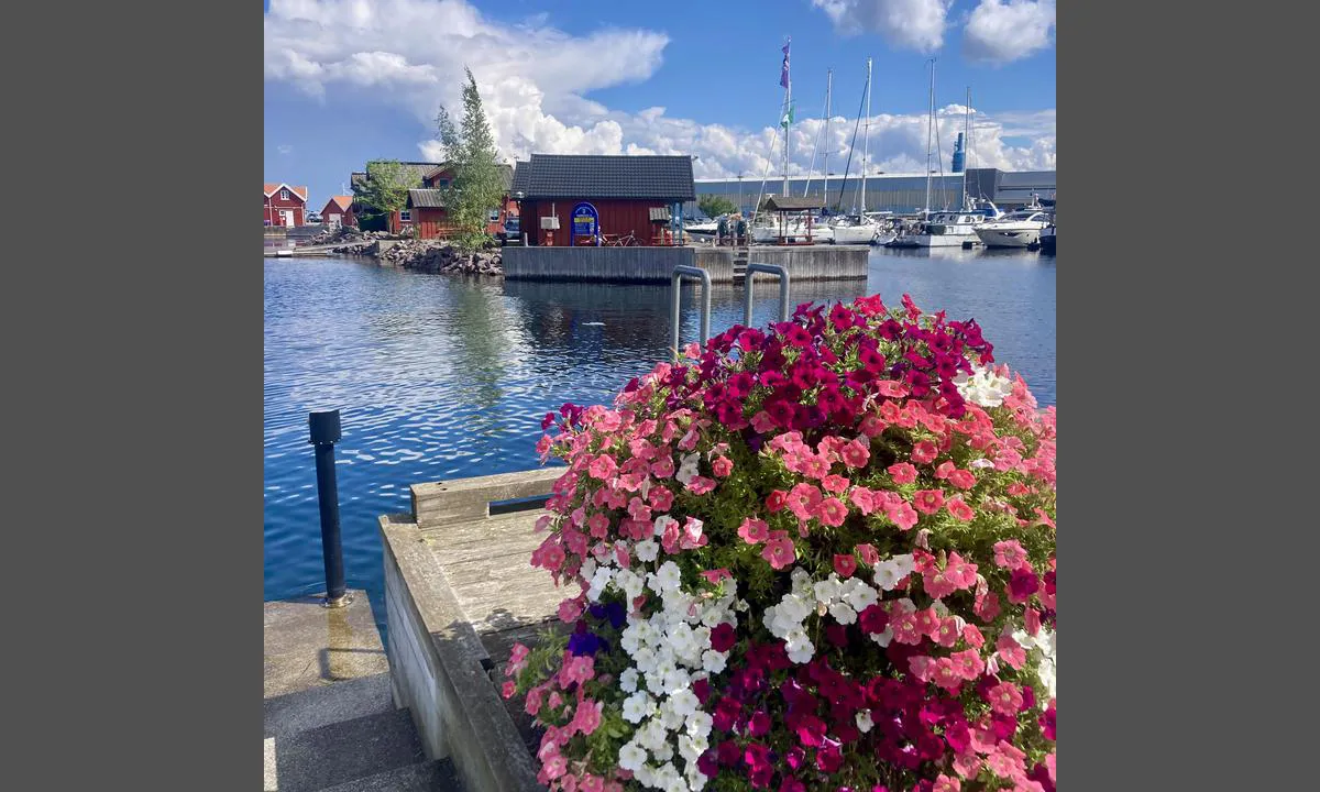 Holmestrand: {"base": "no", "no": "Drivstoff.", "se": "Br\u00e4nsle.", "en": "Fuel.", "da": "Br\u00e6ndstof.", "fr": "Carburant.", "de": "Kraftstoff.", "es": "Combustible.", "it": "Carburante.", "pt": "Combust\u00edvel.", "nl": "Brandstof.", "pl": "Paliwo.", "uk": "\u041f\u0430\u043b\u0438\u0432\u043e.", "ro": "Combusibil.", "tr": "Yak\u0131t.", "el": "\u039a\u03b1\u03cd\u03c3\u03b9\u03bc\u03b1.", "cs": "Palivo.", "hu": "\u00dczemanyag.", "fi": "Polttoaine.", "bg": "\u0413\u043e\u0440\u0438\u0432\u043e.", "sr": "\u0413\u043e\u0440\u0438\u0432\u043e.", "et": "K\u00fctus.", "lv": "Degviela.", "lt": "Kuras."}