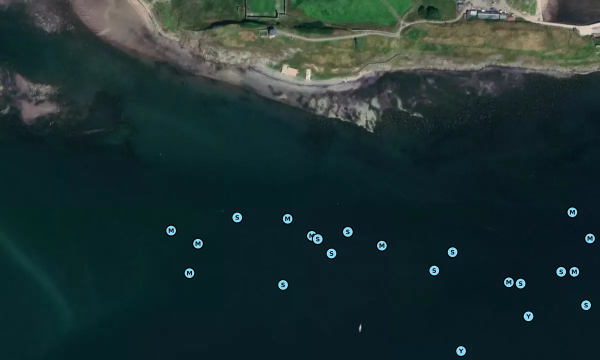 Satelite image of Holy Island