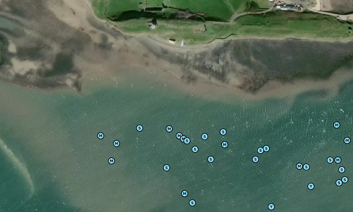 Satelite image of Holy Island