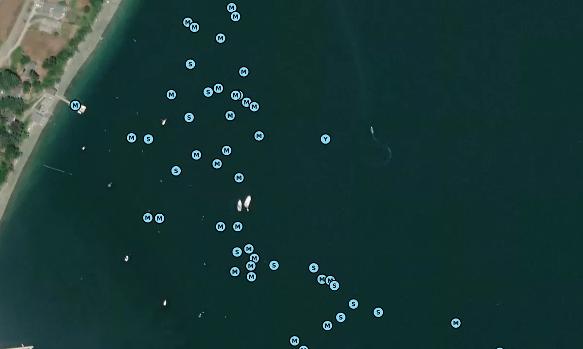 Satelite image of Honeymoon Bay