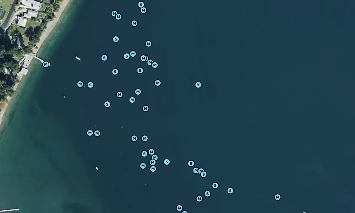 Satelite image of Honeymoon Bay