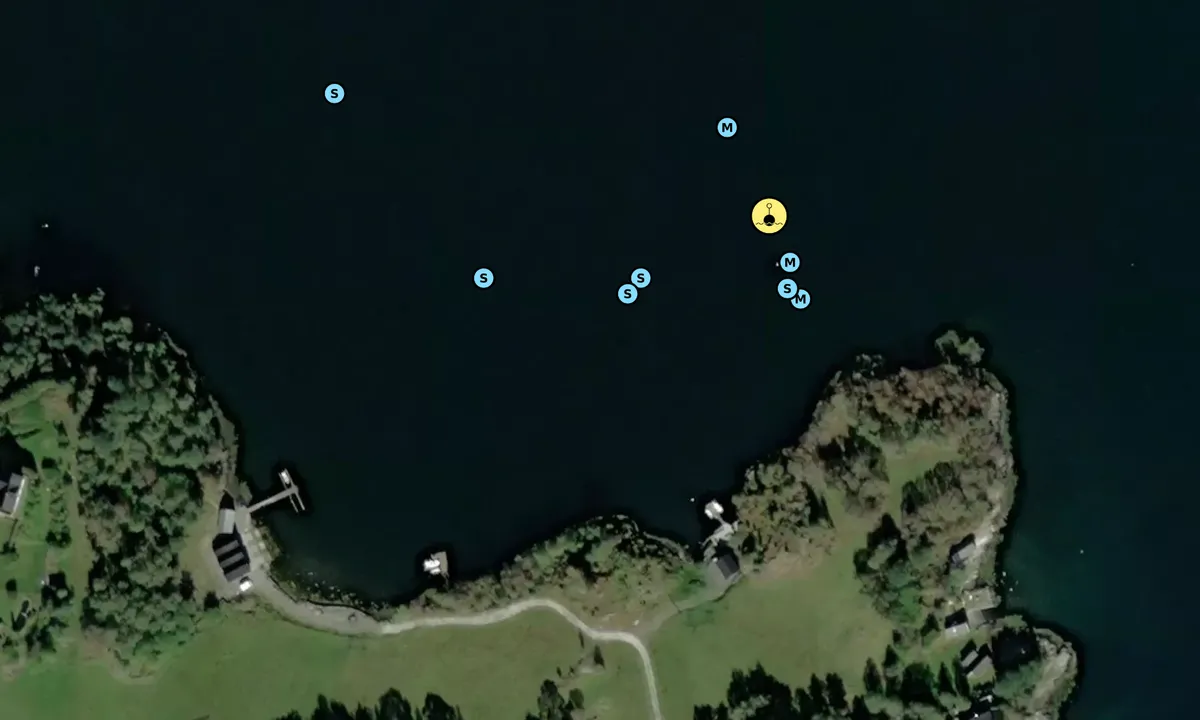 Satelite image of Honningdalsvågen