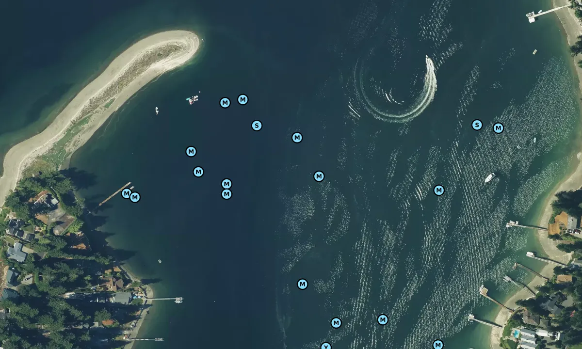 Satelite image of Horsehead Bay