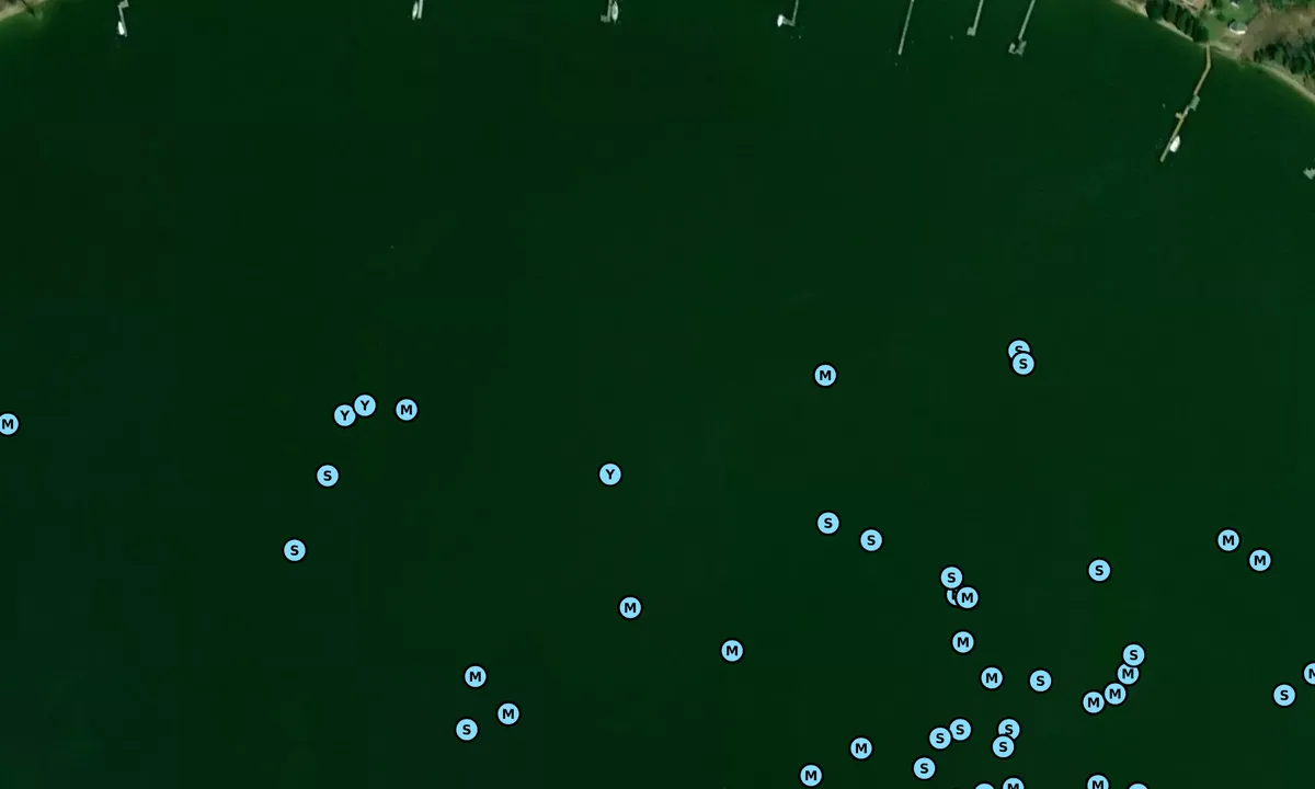 Satelite image of Horseshoe Bend - 2