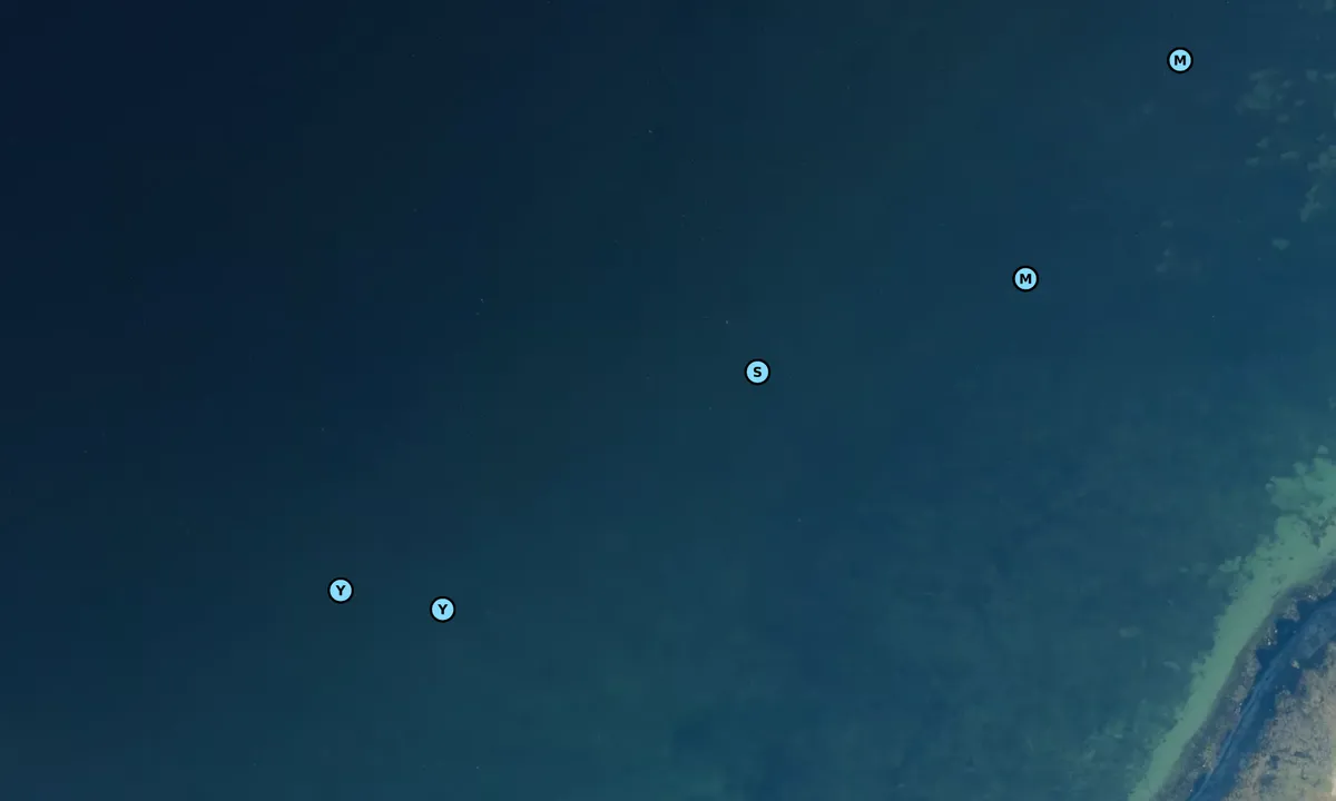 Satelite image of Horseshoved