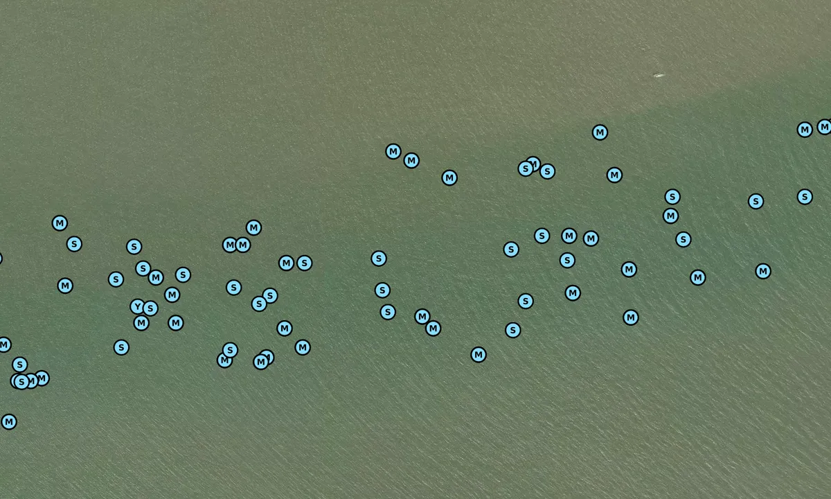 Satelite image of Horsey Island - Hamford Water