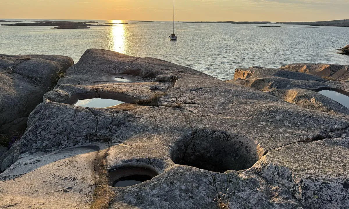 Hummerbågen