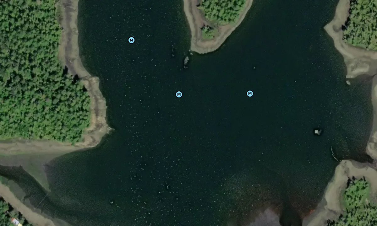 Satelite image of Hunt Inlet - Head