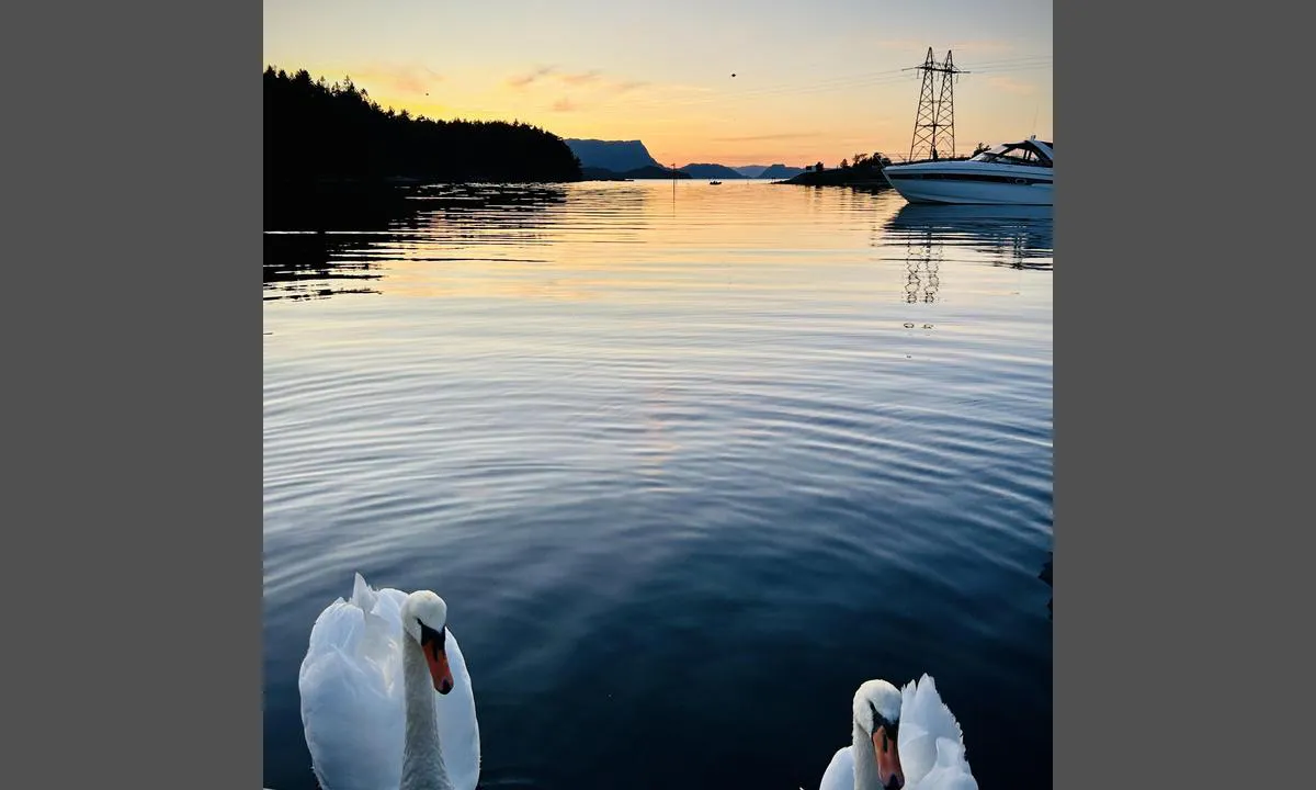 Husnes Båthavn