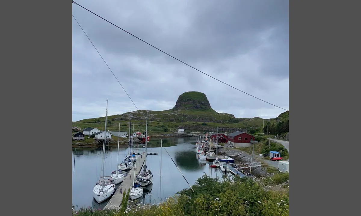 Husøya Træna: Stor flott gjestehavn. Godt beskyttet. Do og dusj er ved gjestehavn2