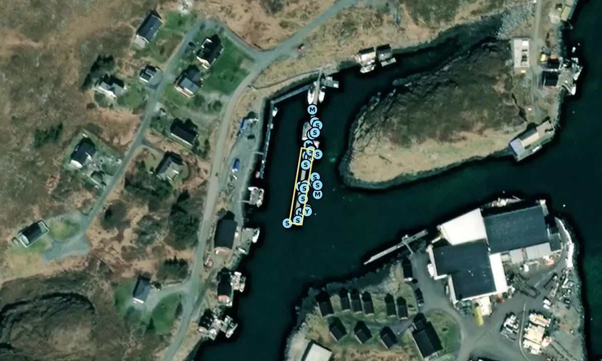 Satelite image of Husøya Træna