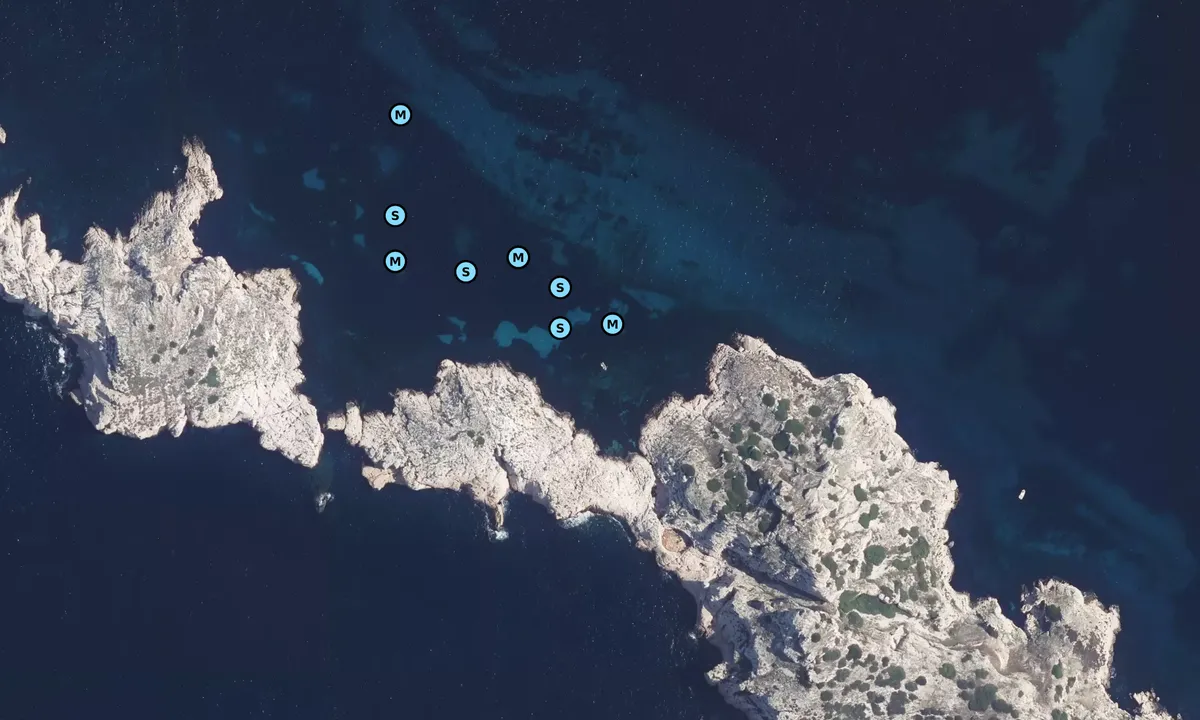 Satelite image of Île de Jarre