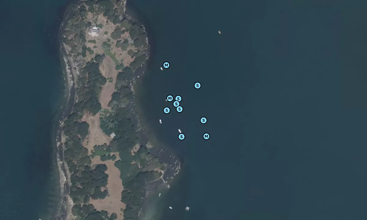 Satelite image of Île de la Jument