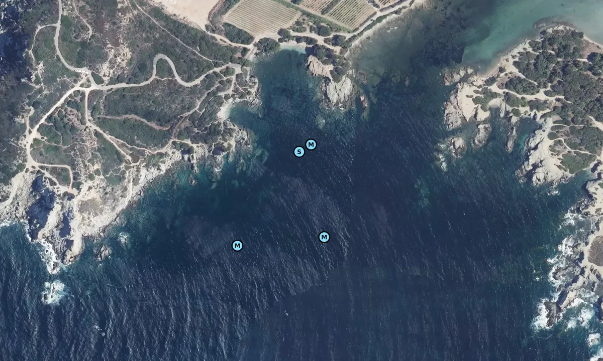 Satelite image of île de la Tour Fondue