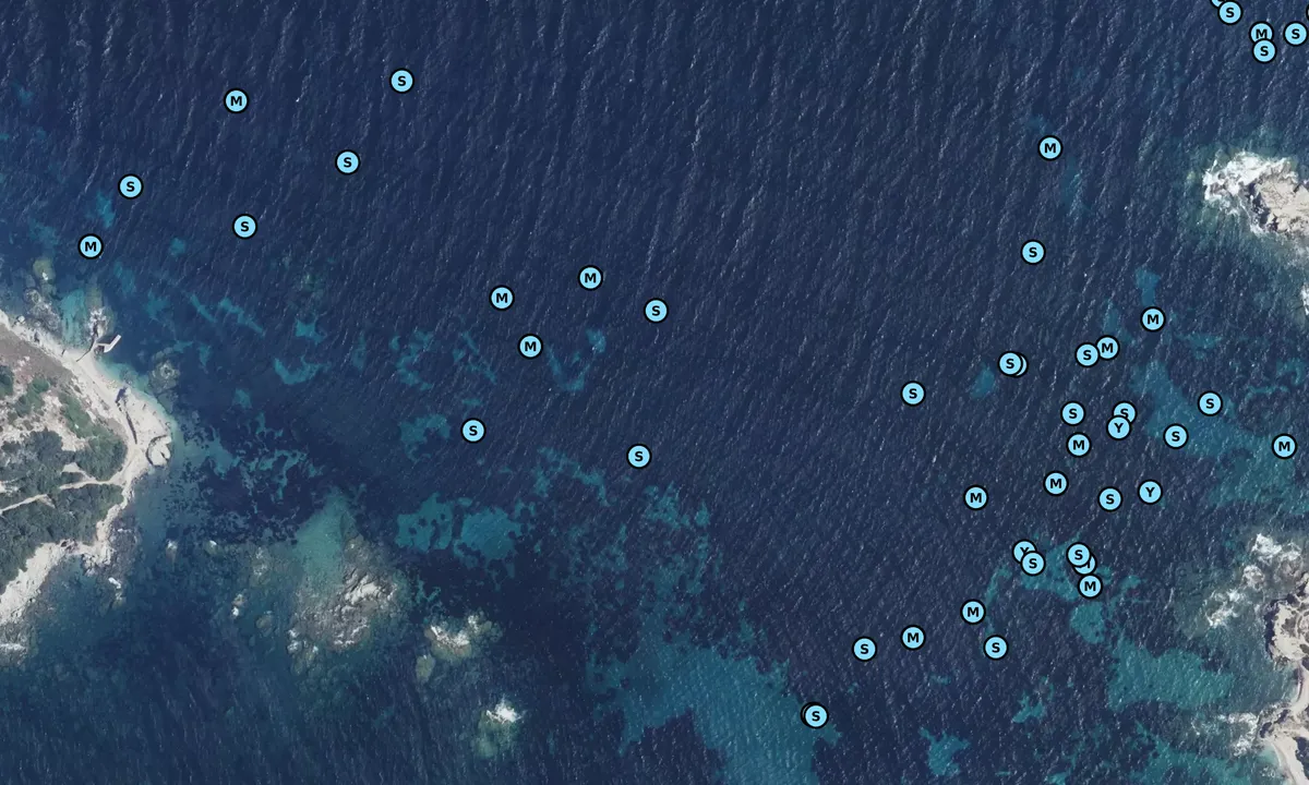 Satelite image of Île du Grand-Rouveau