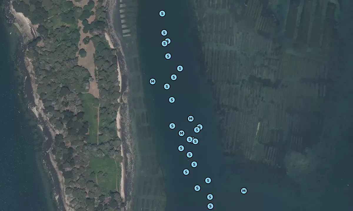 Satelite image of Île Longue