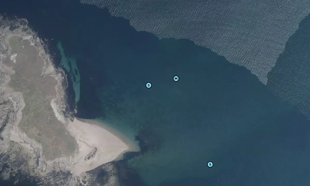 Satelite image of Île Téviec