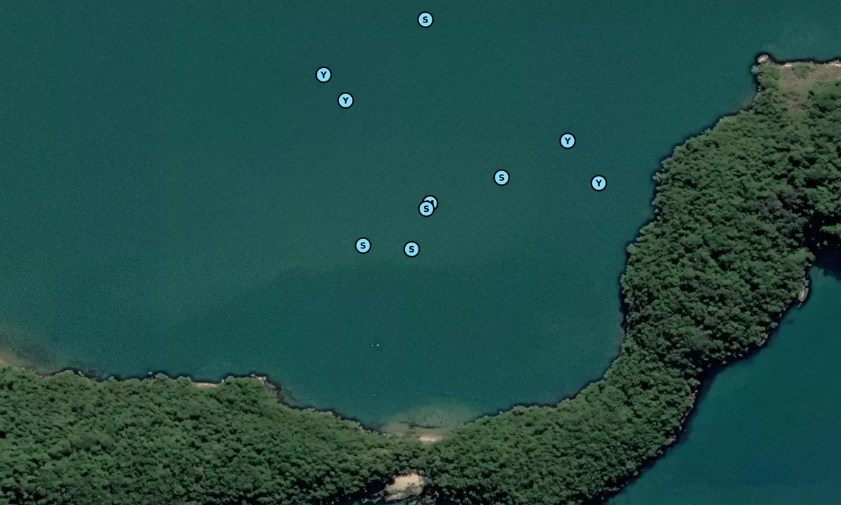 Satelite image of Ilha da Cotia