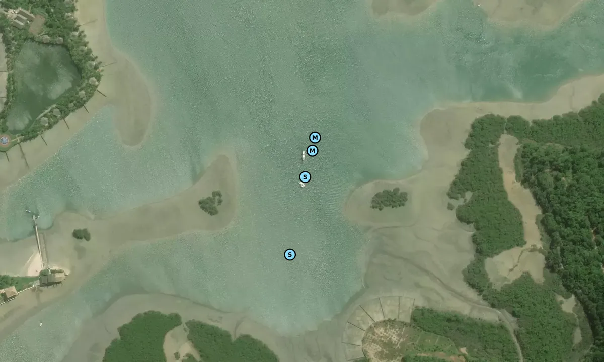 Satelite image of Ilha de Bom Jesus