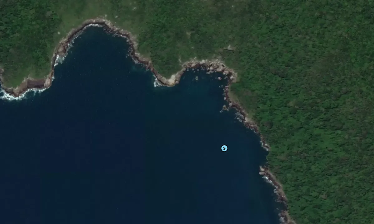 Satelite image of Ilha do Arvoredo