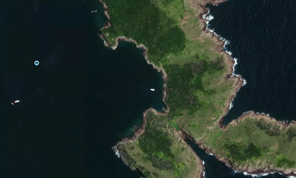 Satelite image of ILHA DO PAPAGAIO
