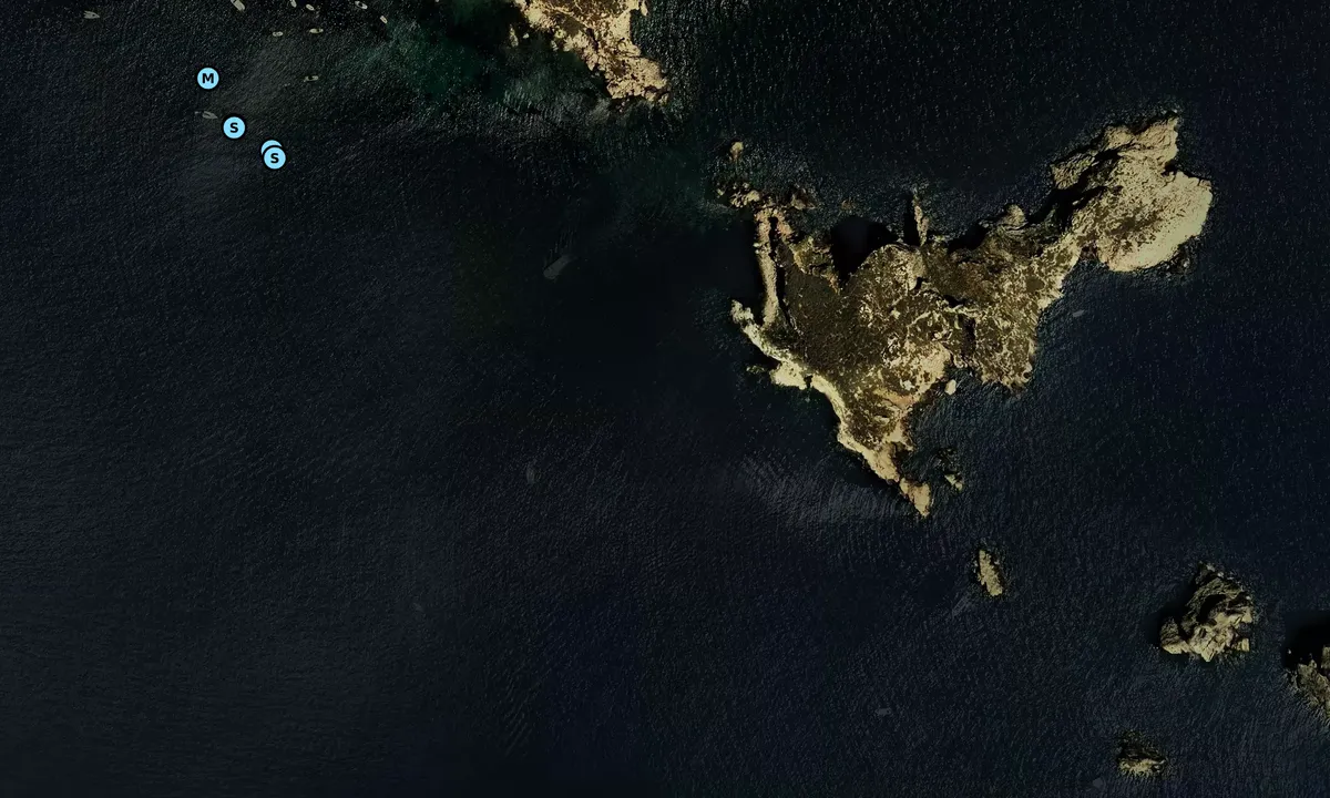 Satelite image of Illes Médes Meda Petita