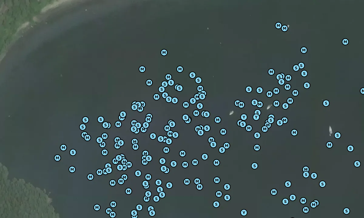 Satelite image of Indian Cove - Shaw Island