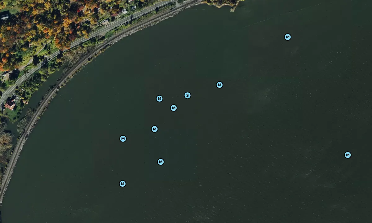 Satelite image of Indian Point