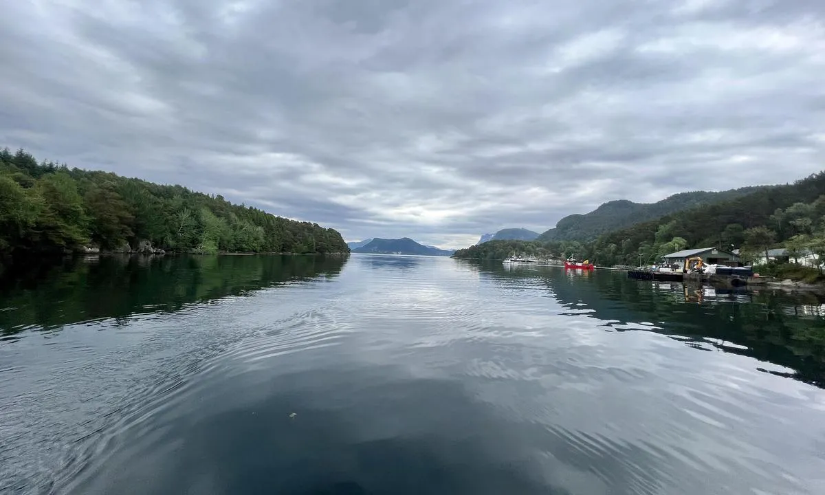 Indre Flokenesvågen: {"base": "en", "no": "Bukten sett fra halvveis inn", "se": "Vik sedd fr\u00e5n halvv\u00e4gs in", "en": "Bay seen from half wsy in", "da": "Bugt set fra halvvejs inde"}