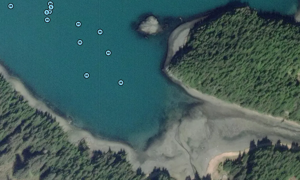 Satelite image of Inian Cove (southeast)