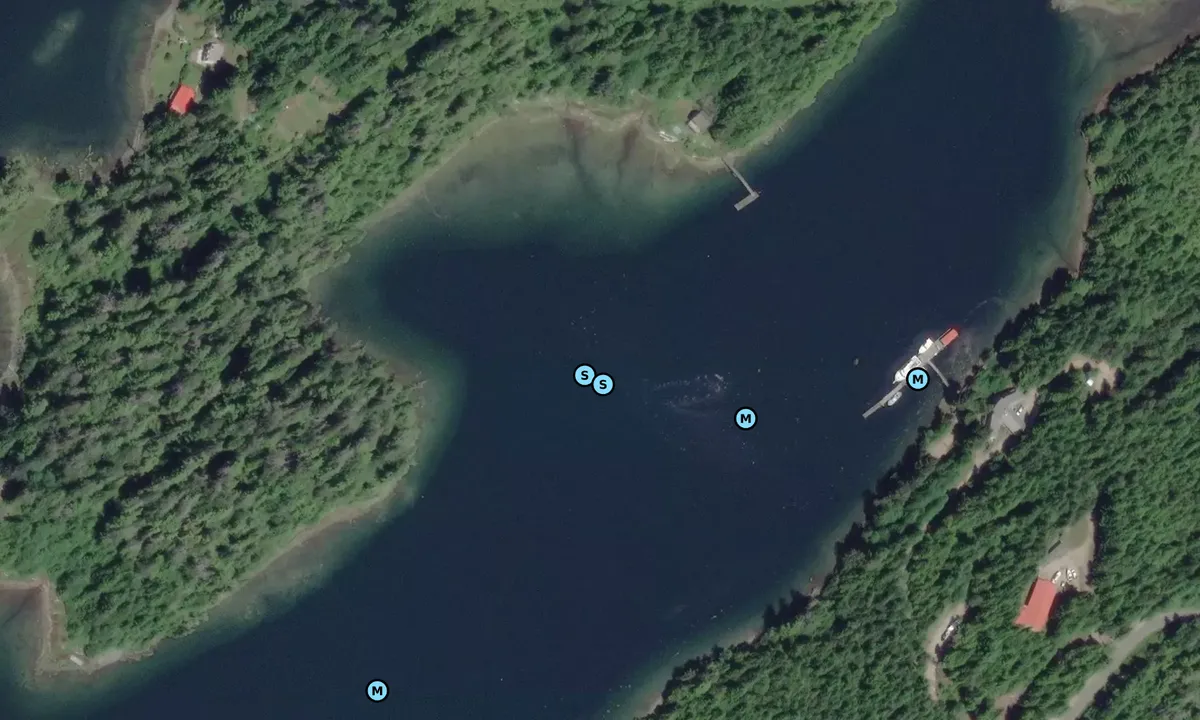 Satelite image of Inner Bamfield Inlet