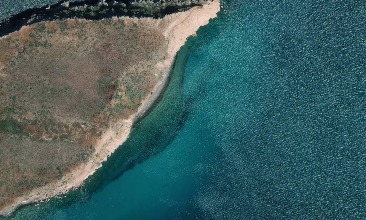 Satelite image of Isla Ballena