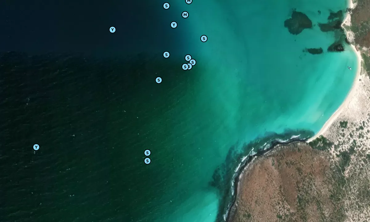 Satelite image of Isla Coronados West