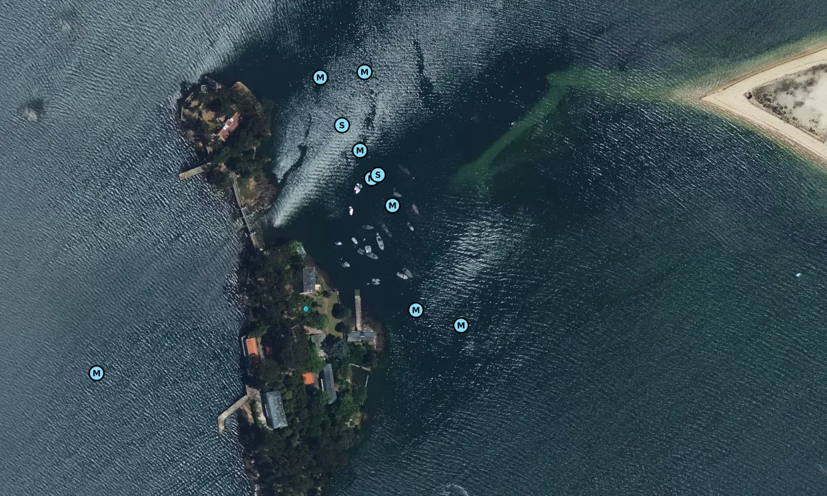 Satelite image of Isla de San Simón
