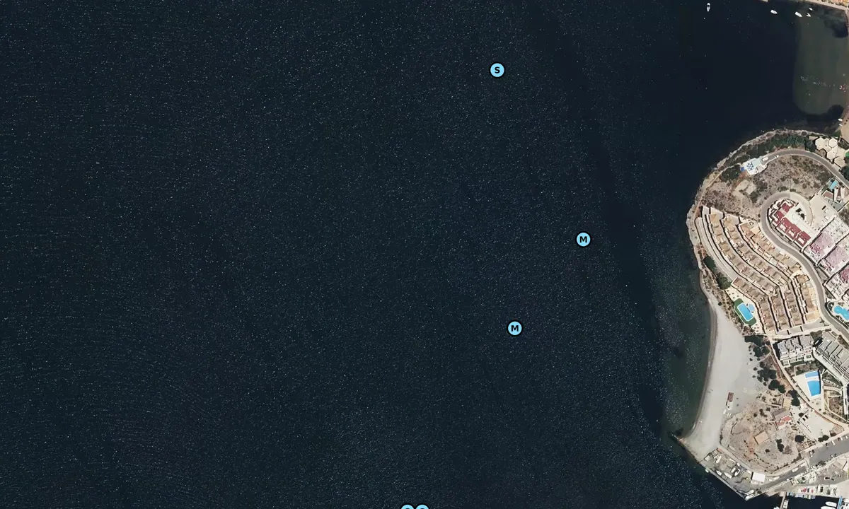 Satelite image of Isla del Cierva