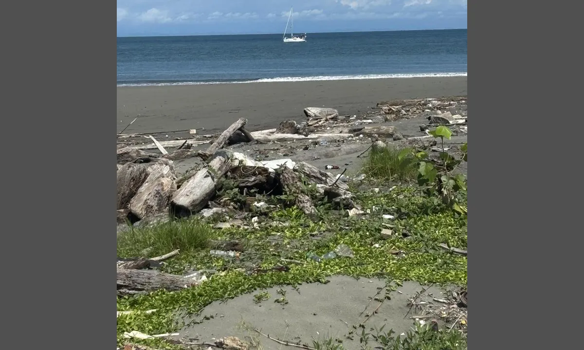Isla Morro Chiquito: {"base": "no", "no": "Bilde tatt fra land mot b\u00e5t en", "se": "Bild tagen fr\u00e5n land mot b\u00e5ten", "en": "Picture taken from land towards a boat", "da": "Billede taget fra land mod b\u00e5d en", "fr": "Image prise depuis la terre en direction du bateau", "de": "Bild vom Land Richtung Boot aufgenommen", "es": "Imagen tomada desde tierra hacia el barco", "it": "Immagine scattata da terra verso la barca", "pt": "Imagem tirada da terra em dire\u00e7\u00e3o ao barco", "nl": "Foto genomen vanaf de kust naar de boot", "pl": "Obrazek zrobiony z l\u0105du w kierunku \u0142odzi", "uk": "\u0417\u043e\u0431\u0440\u0430\u0436\u0435\u043d\u043d\u044f \u0437\u043d\u044f\u0442\u043e \u0437 \u0431\u0435\u0440\u0435\u0433\u0430 \u043d\u0430 \u043d\u0430\u043f\u0440\u044f\u043c\u043e\u043a \u0434\u043e \u0447\u043e\u0432\u043d\u0430", "ro": "Imagine realizat\u0103 de pe uscat c\u0103tre o barc\u0103", "tr": "Karadan tekneye do\u011fru \u00e7ekilmi\u015f bir resim", "el": "\u0395\u03b9\u03ba\u03cc\u03bd\u03b1 \u03c0\u03bf\u03c5 \u03c4\u03c1\u03b1\u03b2\u03ae\u03c7\u03c4\u03b7\u03ba\u03b5 \u03b1\u03c0\u03cc \u03c4\u03b7\u03bd \u03be\u03b7\u03c1\u03ac \u03c0\u03c1\u03bf\u03c2 \u03c4\u03b7\u03bd \u03c0\u03bb\u03b5\u03c5\u03c1\u03ac \u03c4\u03bf\u03c5 \u03c3\u03ba\u03ac\u03c6\u03bf\u03c5\u03c2", "cs": "Obr\u00e1zek po\u0159\u00edzen\u00fd z pevniny sm\u011brem k lodi", "hu": "K\u00e9p a sz\u00e1razf\u00f6ldr\u0151l a haj\u00f3ra n\u00e9zve", "fi": "Kuva otettu maalta venett\u00e4 kohti", "bg": "\u0421\u043d\u0438\u043c\u043a\u0430, \u043d\u0430\u043f\u0440\u0430\u0432\u0435\u043d\u0430 \u043e\u0442 \u0431\u0440\u0435\u0433\u0430 \u043a\u044a\u043c \u043b\u043e\u0434\u043a\u0430\u0442\u0430", "sr": "\u0421\u043b\u0438\u043a\u0430 \u0441\u043d\u0438\u043c\u0459\u0435\u043d\u0430 \u0441\u0430 \u0437\u0435\u043c\u0459\u0435 \u043f\u0440\u0435\u043c\u0430 \u0431\u0440\u043e\u0434\u0443", "et": "Pilt tehtud maalt laeva suunas", "lv": "Att\u0113ls uz\u0146emts no sauszemes pret laivu", "lt": "Vaizdas i\u0161 sausumos \u012f valt\u012f"}