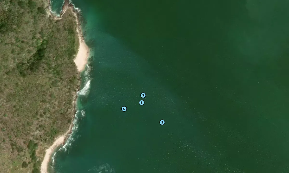 Satelite image of Isla Pajaros