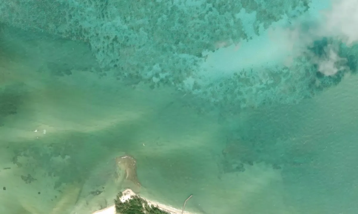 Satelite image of Isla Pasion
