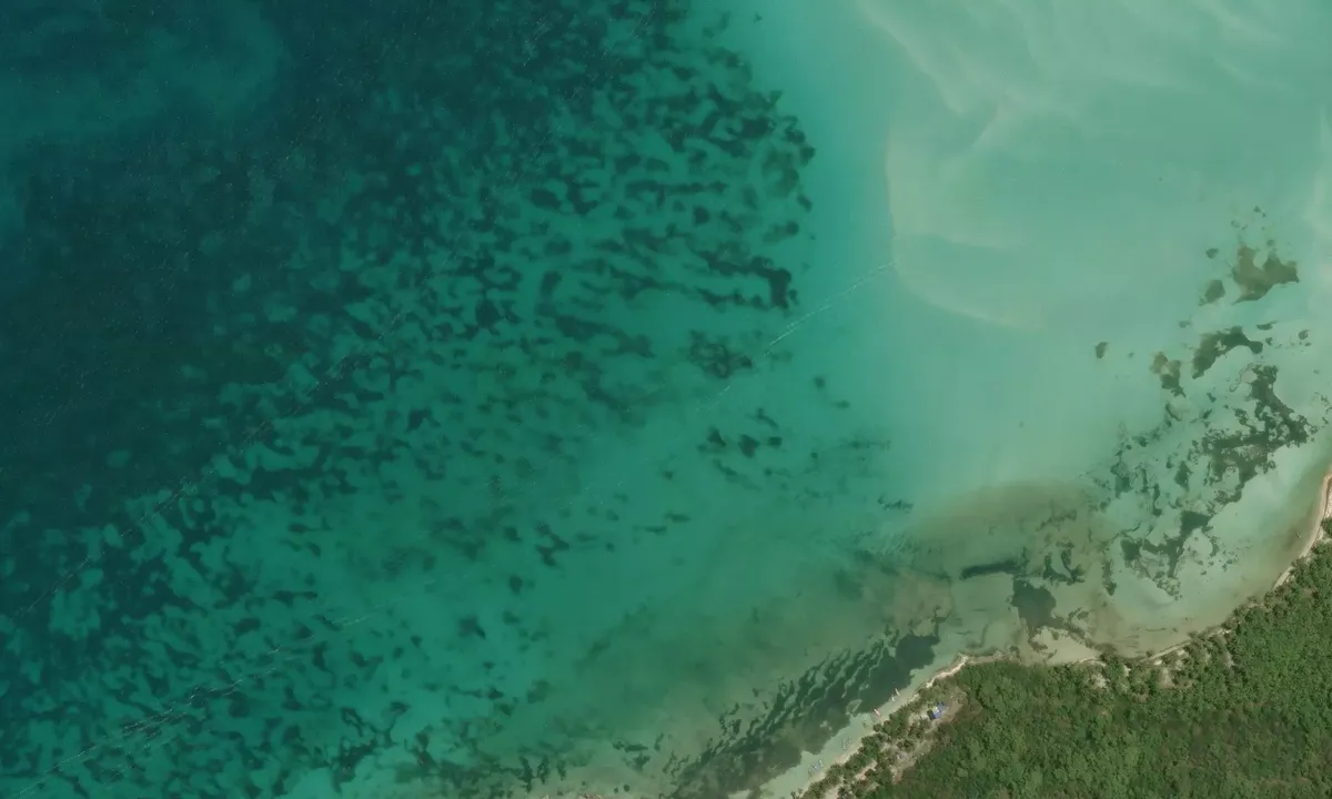 Satelite image of Isla Saona