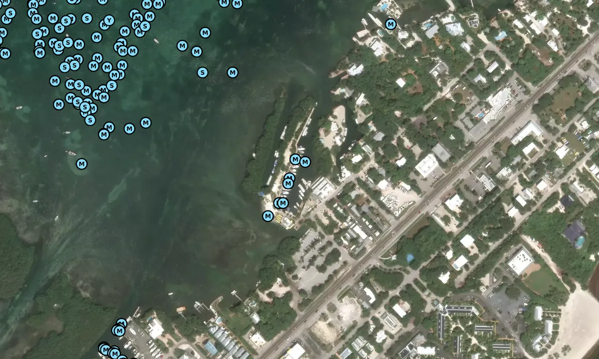 Satelite image of Islamorada Yacht Basin at the Lorelei
