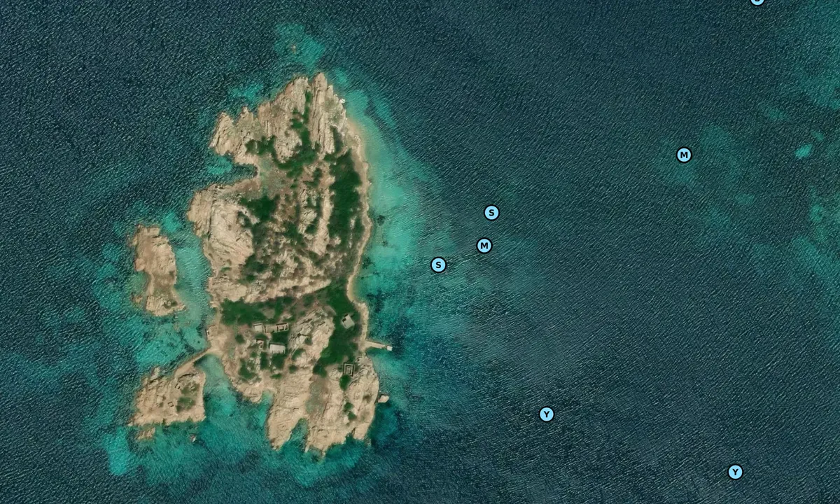 Satelite image of Isola del Porco - East